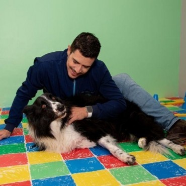 Ortopedia Veterinária em Porto Alegre