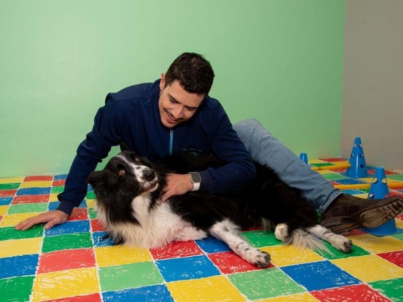 Ortopedia Veterinária em Porto Alegre